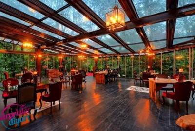 Yeşili ve Doğayı Sevenler İçin Romantik Evlilik Teklifi Vip Paket