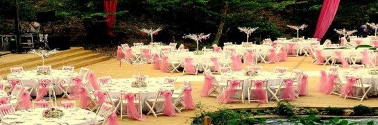 Hint Bahçesinde Kır Düğünü 