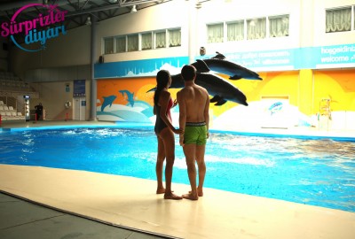 Yunuslar Teklifinizde Yardımcınız