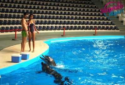 Yunuslar Teklifinizde Yardımcınız