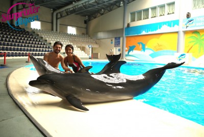 Yunuslar Teklifinizde Yardımcınız