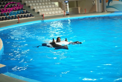 Yunuslar Teklifinizde Yardımcınız