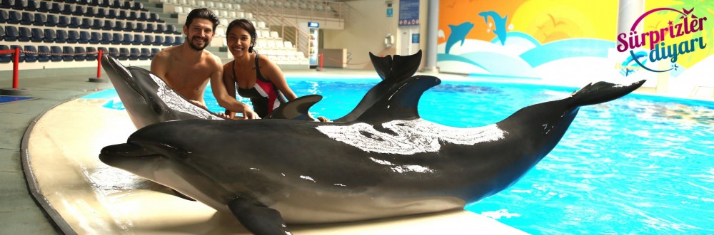 Yunuslarla Gelen Sürpriz Evlenme Teklifi