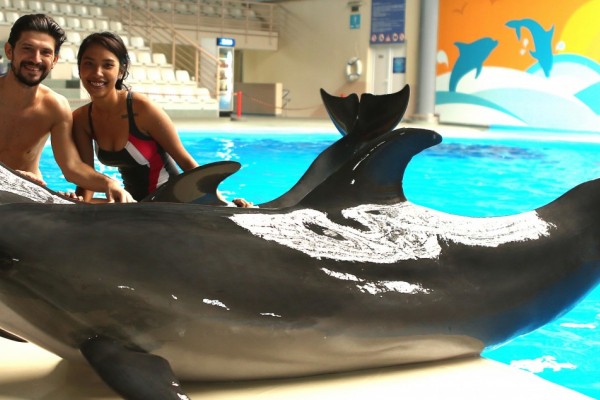 Yunuslarla Gelen Sürpriz Evlenme Teklifi