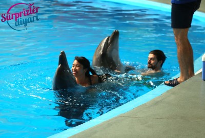 Yunuslar Teklifinizde Yardımcınız