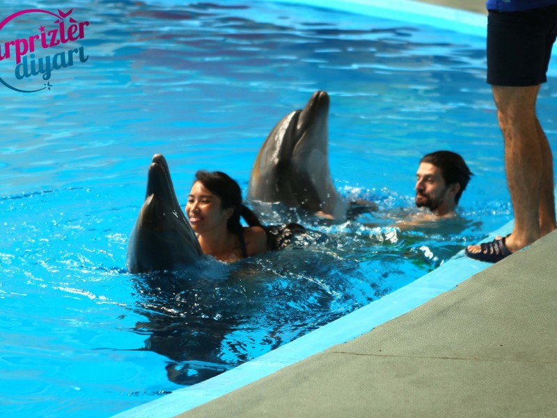 Yunuslarla Başbaşa Yüzme ve Evlilik Teklifi Organizasyonu