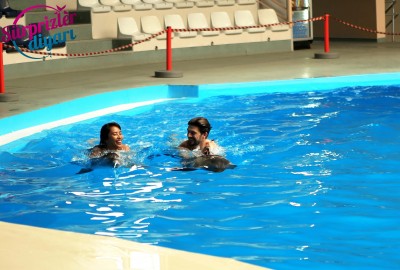 Yunuslar Teklifinizde Yardımcınız