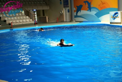 Yunuslar Teklifinizde Yardımcınız