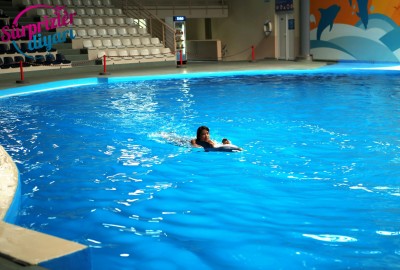 Yunuslar Teklifinizde Yardımcınız