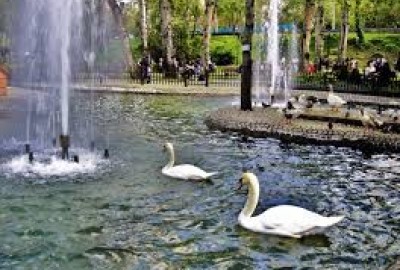 Kuğulu Park'ta Romantik Evlilik Teklifi - 2234