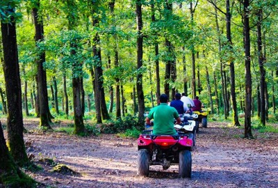 Sapanca/ Maşukiye Günübirlik Turistik Turlar