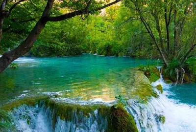 Sapanca/ Maşukiye Günübirlik Turistik Turlar