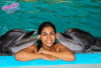 Yunuslarla Baş Başa Yüzme Ve Sürpriz Evlilik Teklifi Çağlayan & Yeşim - 421