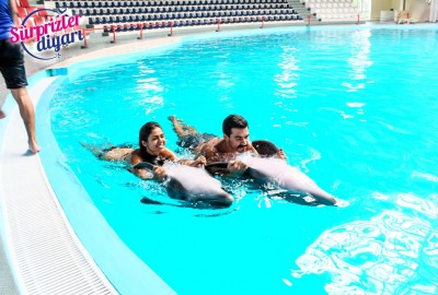 Yunuslarla Baş Başa Yüzme Ve Sürpriz Evlilik Teklifi Çağlayan & Yeşim - 423