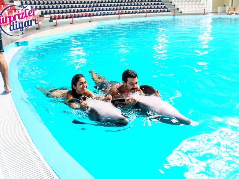 Yunuslarla Baş Başa Yüzme Ve Sürpriz Evlilik Teklifi Çağlayan & Yeşim