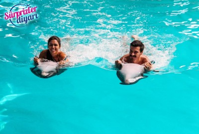 Yunuslarla Baş Başa Yüzme Ve Sürpriz Evlilik Teklifi Çağlayan & Yeşim - 424