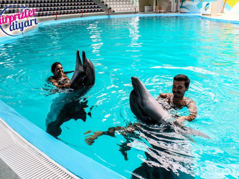 Evlenme Teklifi Farklı Fikirler!